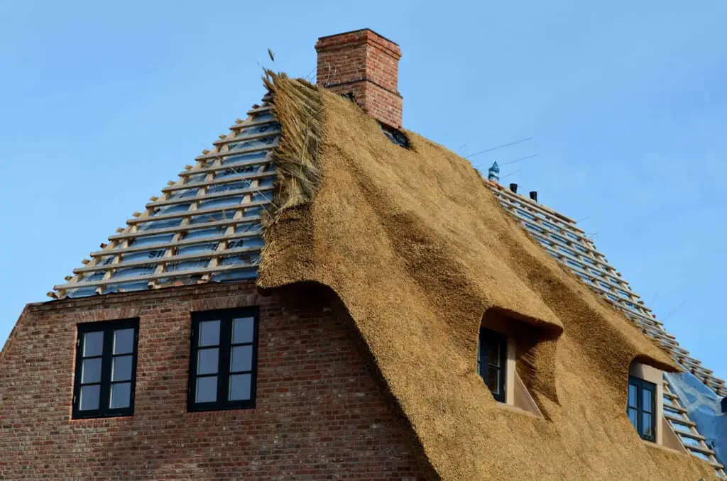 Thatched roof: Info, examples & cost per square metre