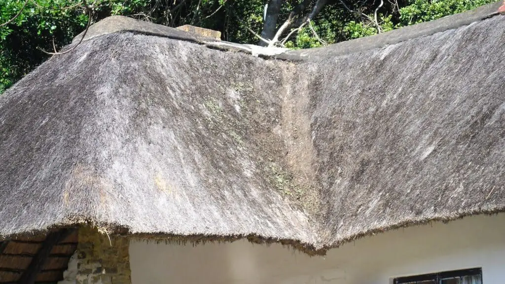 problems with thatched roofs