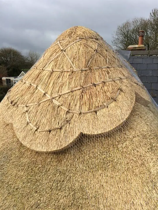 Thatched Roof Ridge