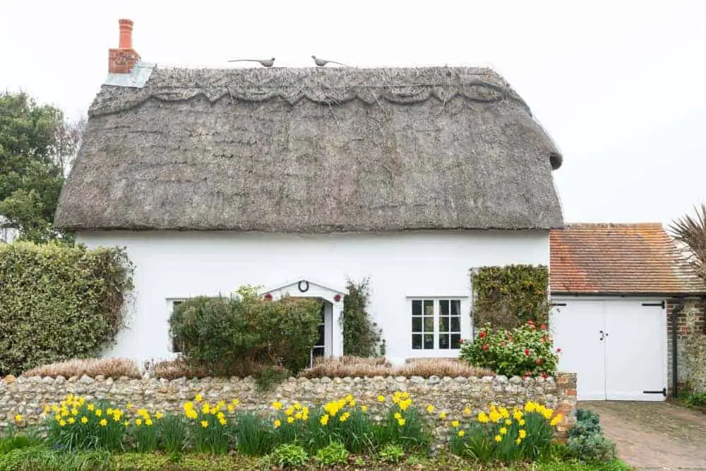 Are Thatched Roofs Eco-Friendly?