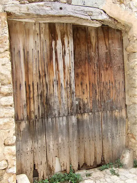 woodworm in shed