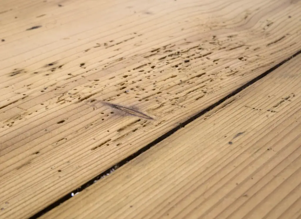 How to treat woodworm in floorboards